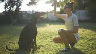 Czy mondioring jest sportem dla twojego psa?