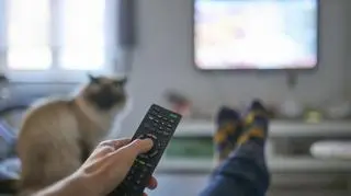 oglądanie tv, kotek w tle