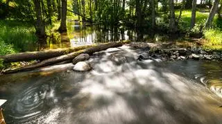 Drawieński Park Narodowy – informacje, ciekawostki, atrakcje