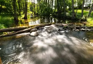 Drawieński Park Narodowy – informacje, ciekawostki, atrakcje