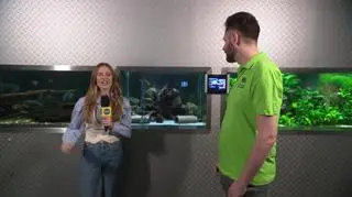 Gdzie raki zimują? 