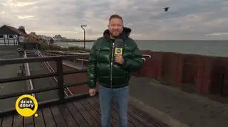 Fokarium na helu zaprasza także poza sezonem 