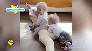 Pogodni TVN