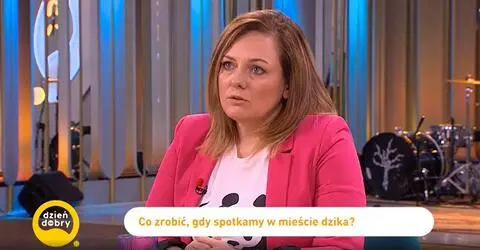 Dzik w mieście - jak zareagować?