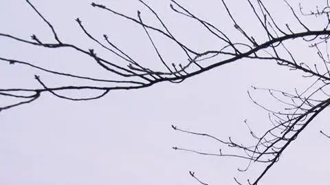 DD_20220920_Baranczyk_umont_REP