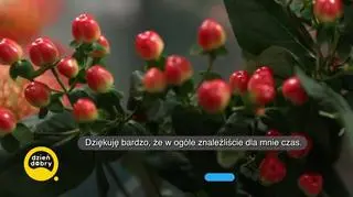 Piotr Cyrwus i Maja Barełkowska o swoim związku - napisy