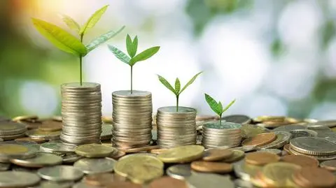 W co inwestować pieniądze? 