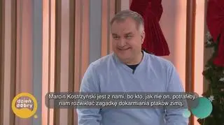 Dokarmianie ptaków zimą - napisy