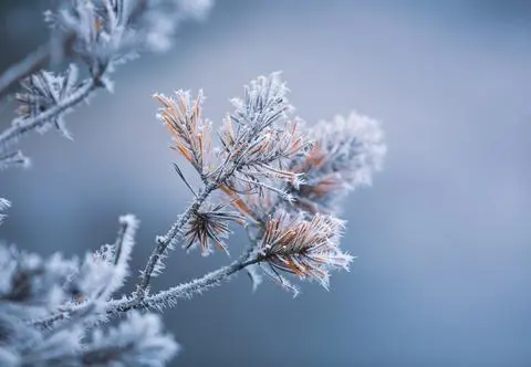 Siarczyste mrozy nie odpuszczają. Gdzie będzie minus 28 stopni?