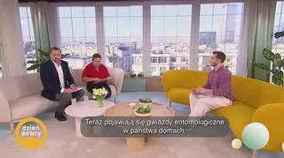 Nie każdy owad to wróg - napisy