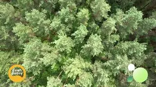 Zagubieni na granicy - napisy