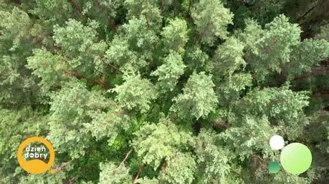 DD_20250822_Granica_rep_napisy