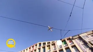 Do zobaczenia na pustyni Negew