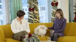 Mały psi słodziak o groźnym charakterze. "To jest misja - monitoring osiedla"