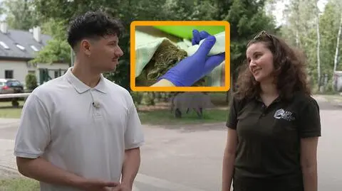 Z wizytą w Ośrodku Rehabilitacji Dzikich Zwierząt 