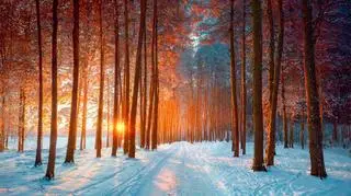 Jaka będzie nadchodząca zima i wiosna? IMGW przedstawiło prognozy