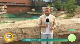 Ogród Zoologiczny we Wrocławiu