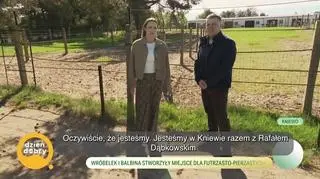 Wróbelek i Balbina stworzyły miejsce dla futrzasto-pierzastych - napisy