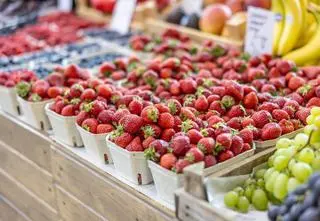 Owocowe szaleństwo na plantacjach. Koniec z jagodami i malinami? "Ten rok jest nienormalny"