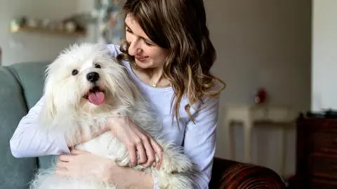Coton de Tulear – charakter, opis rasy, pielęgnacja