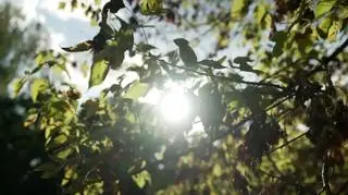 Hymn końca lata, który stał się hitem - napisy