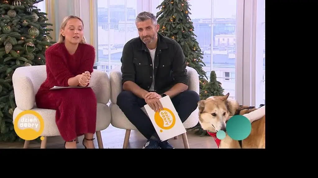 DD_20241207_Blanka_REP