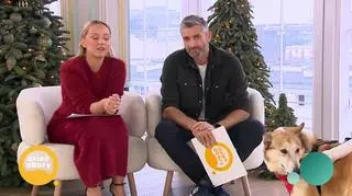 Blanka – energiczna i ciekawska sunia  