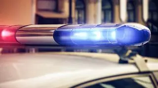 W teatrze w Płocku znaleziono ładunek wybuchowy. Służby ewakuowały ponad 30 osób 