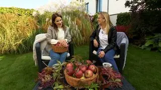 W ogrodzie z Anną Dereszowską 