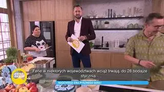 Bezpieczne formy spędzania wolnego czasu