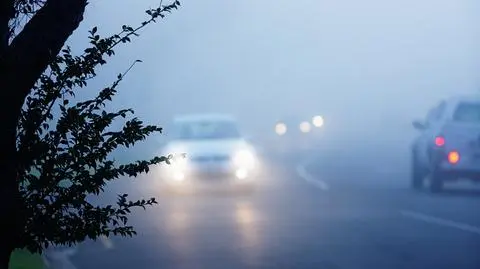 Pogoda na piątek. Gdzie wystąpią gęste mgły?