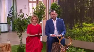 Las i jego mieszkańcy w obiektywie Jakuba Wencka