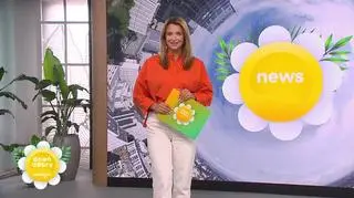 Najważniejsze newsy w Dzień Dobry Wakacje 