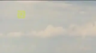 Jak przygotować zwierzę do lotu samolotem?