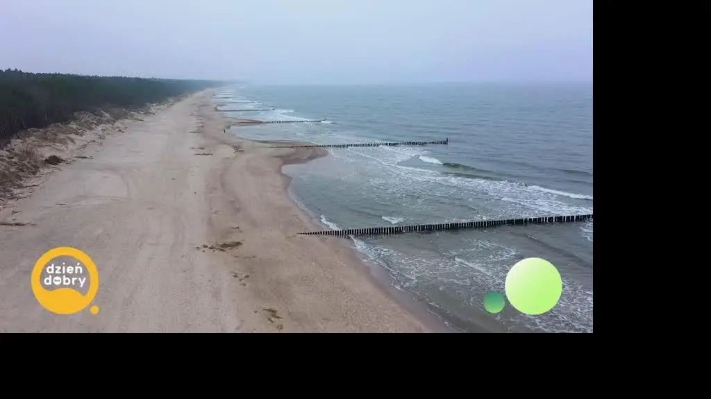 DD_20250221_Kubkowski_rep_REP