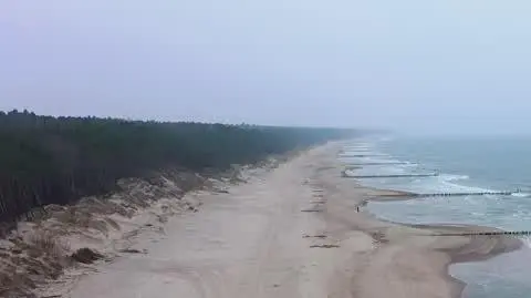 DD_20250221_Kubkowski_rep_REP