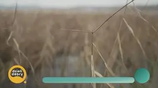 Dom z olśniewającym widokiem na jezioro - napisy