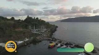 Wielki błękit - powrót z domu do domu