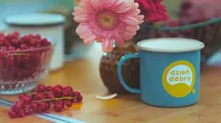 Dzień Dobry TVN - Co będzie w programie we wtorek, 30 września 2025 roku?