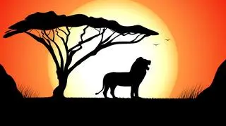 Zmarł Roger Allers. Reżyser i współtwórca "Króla Lwa" miał 76 lat