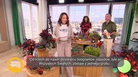 DD_20241028_Stroik_REP_napisy