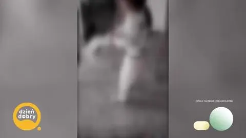 DD_20250516_Kotki_rep_napisy