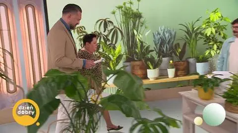 DD_20250329_Rosliny_REP