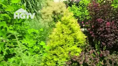 20250110_HGTV_NMWO_Przedogrodek