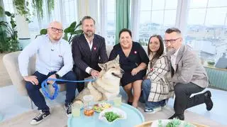 Posiadają psa, który ma w sobie gen wilka