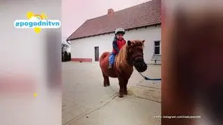 Pogodni TVN