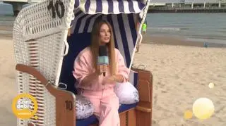 Foka na plaży to nie pluszowy miś - zachowaj ostrożność 