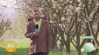 Pogoda na dziś 