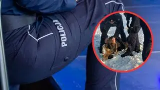 Pies przymarzł do pobocza drogi. "Nie był w stanie się ruszać"
