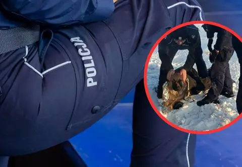 Pies przymarzł do pobocza drogi. "Nie był w stanie się ruszać"